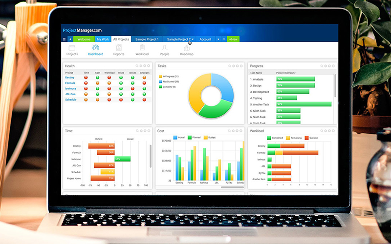 Project Management Software